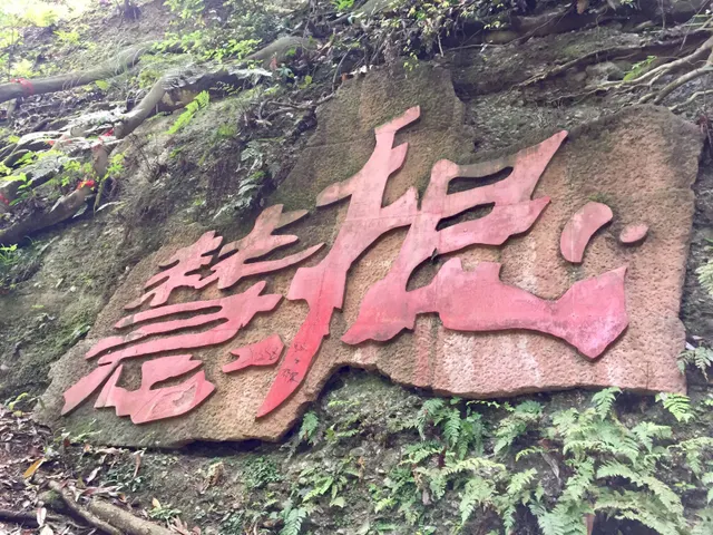 四川 · 成都 · 青城山
